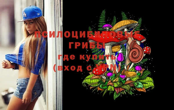 твердый Горно-Алтайск