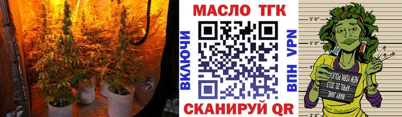 Купить  Оса  Дистиллят ТГК гашишное масло 