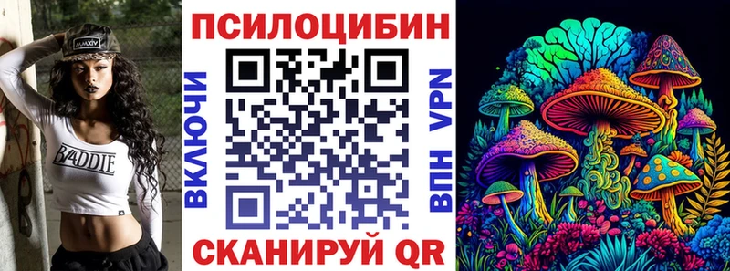 Купить  Оса  Псилоцибиновые грибы прущие грибы 